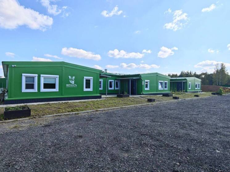 В Ярославле открыли центр отлова и стерилизации домашних животных