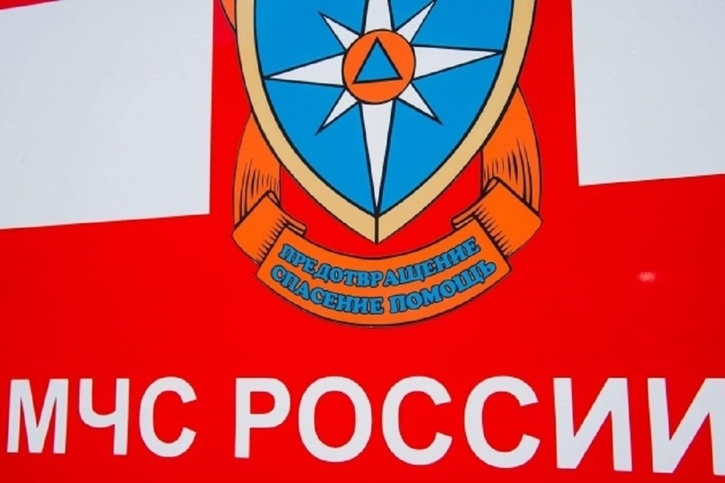 "Rischio incendi boschivi in Russia: la situazione nella regione di Volgograd"