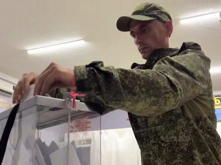 В ДНР завершилось досрочное голосование на выборах в Воронежскую областную Думу