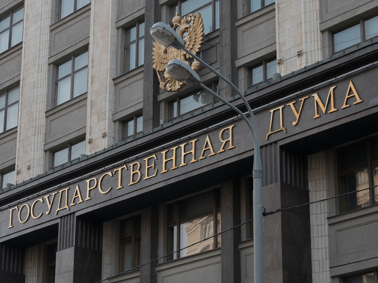 «Репутация или деньги»: депутаты Госдумы озабочены рекламой букмекеров в национальных поисковиках