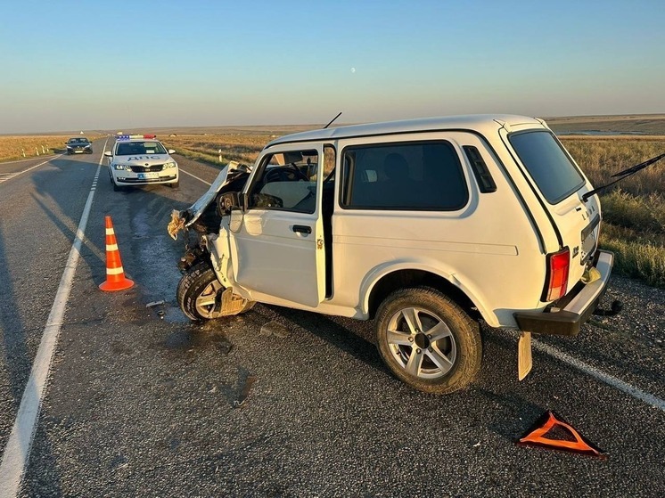 На прошедшей неделе в Калмыкии в дорожной аварии погиб один человек