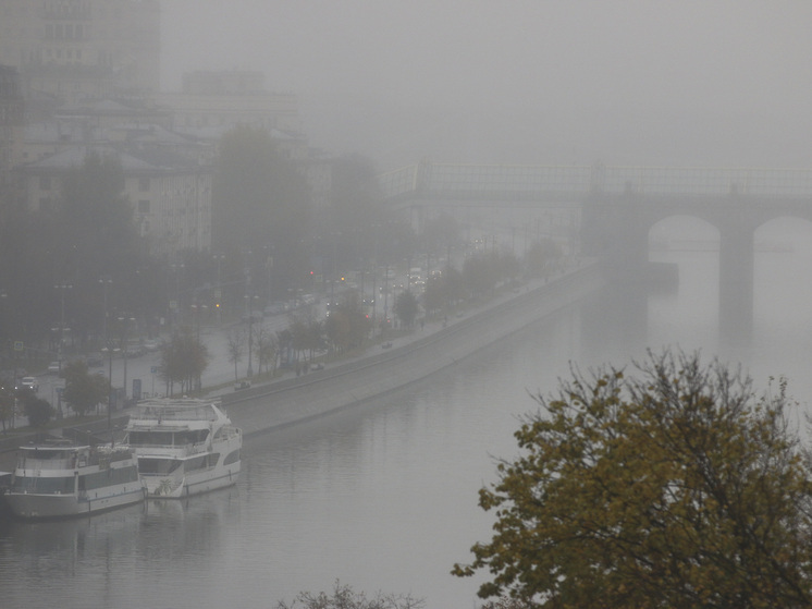 Вильфанд объяснил утренние туманы в Подмосковье резким ночным похолоданием