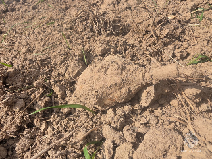 Рядом с тарусской деревней нашли снаряд
