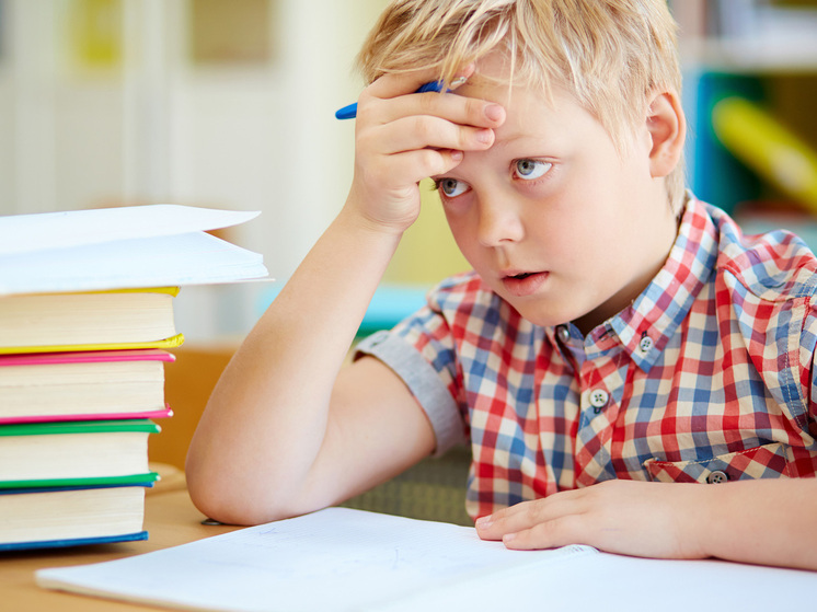 В Минпросвещения отказали депутатам, предложившим отменить домашние задания