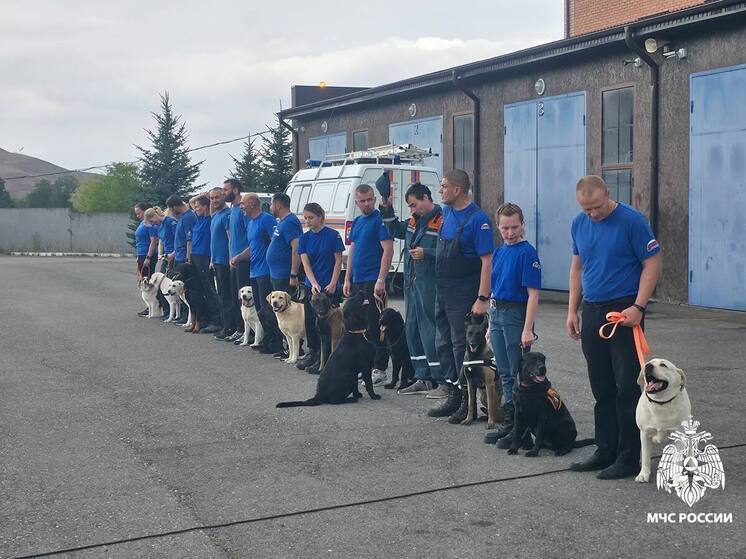 В Ингушетии проходит учебно-тренировочный сбор кинологов МЧС России