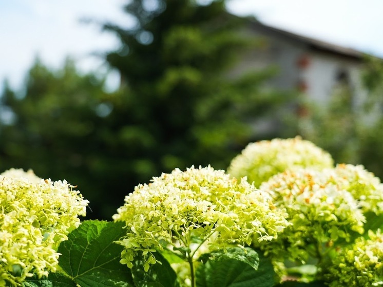 В Волгоградской области 9 сентября прогнозируется порывистый ветер и до +29℃