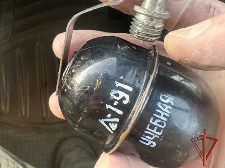 Гранату обнаружили около автобусной остановки в Барнауле