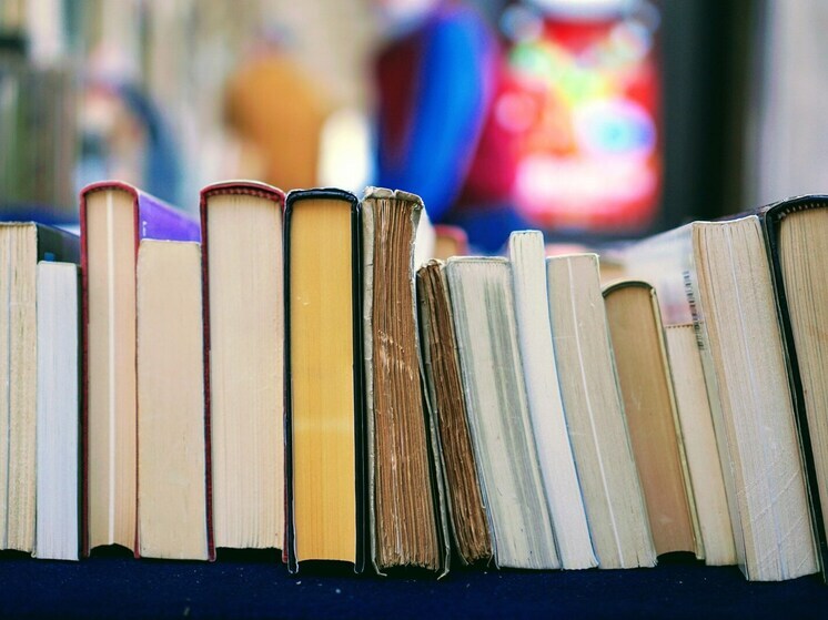 Фонд библиотеки в селе Отрадинском Мценского района пополнился 5 000 книг