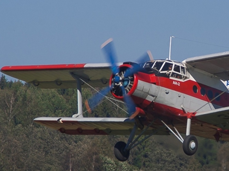 Самолёт Ан-2 разбился в российском регионе