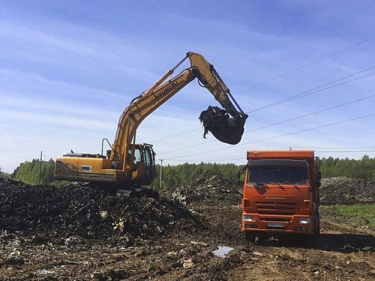 В Лебяжье восстановят 2 гектара земли в рамках нацпроекта