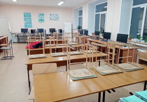 В пяти школах Омска на входе установлены металлоискатели марки «Арена», но они работают с перебоями