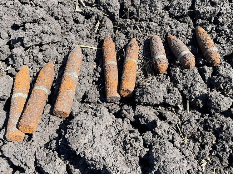 Саперы Росгвардии обезвредили 8 боеприпасов времен ВОВ в Краснодарском крае