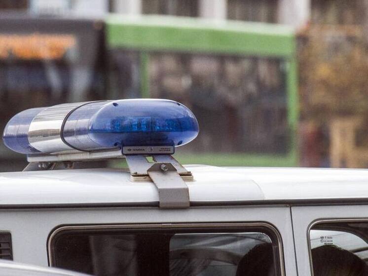 Тюменец украл 78 плиток шоколада на 7,5 тысяч рублей: грозит до двух лет колонии