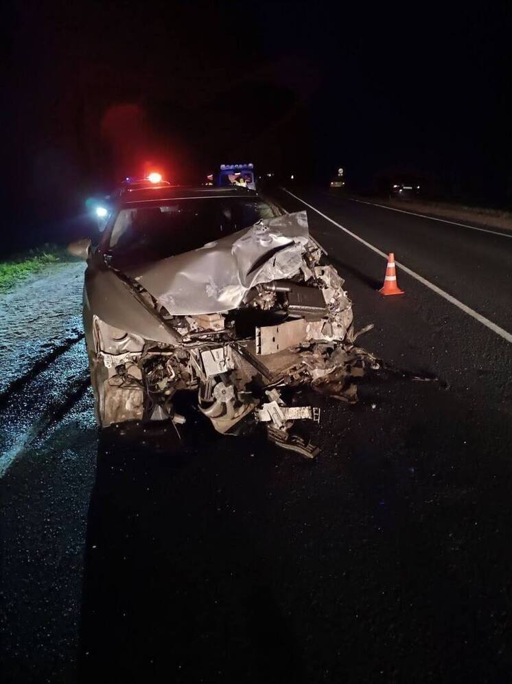 Житель Подмосковья предстанет перед судом за смертельное ДТП в Юхновском районе