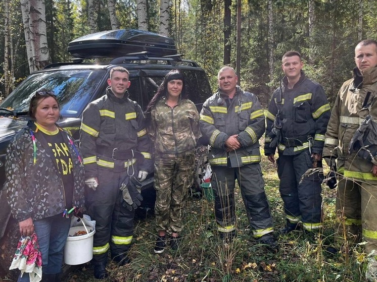 Заблудившихся в лесу грибников спасли на Среднем Урале