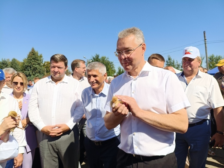 Ставропольский каравай: 10 миллионов тонн – рекорд и вековой юбилей праздника труда