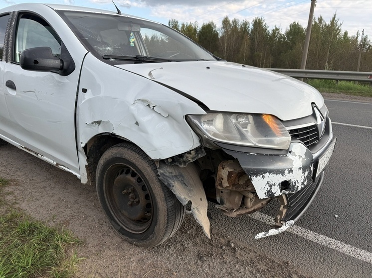 В Новгородском округе иномарка сбила велосипедиста
