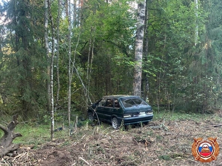 В Тверской области водитель погиб из-за столкновения с деревом
