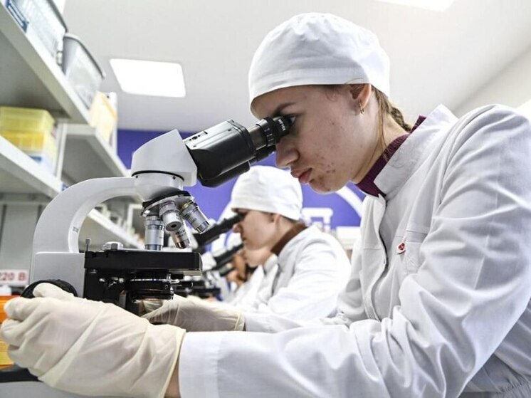 Университеты в Тюмени и Санкт-Петербурге станут учить фармацевтов по совместной программе
