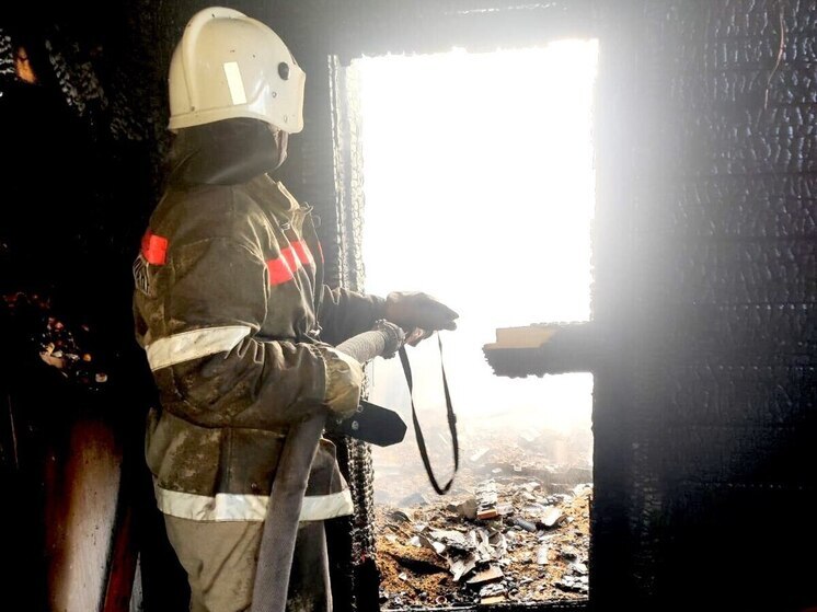 За минувшие сутки в Томской области потушено 10 пожаров