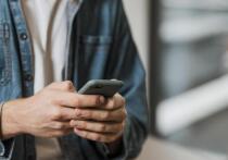 Красноярске начал функционировать специальный доступ к интернет-ресурсам через систему «белого списка», разработанную Министерством цифрового развития РФ