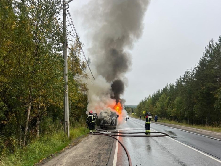 В Полярнозоринском районе загорелся автомобиль