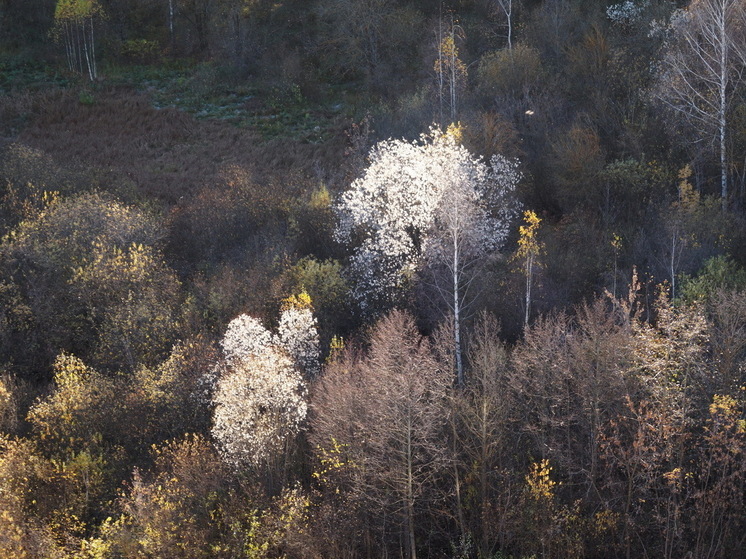 Резкое похолодание с 10 сентября: в каких регионах ждать первые заморозки и мокрый снег? Детальный прогноз