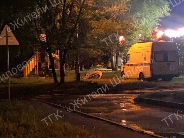 Мужчина умер на лавке в воронежском микрорайоне Шилово