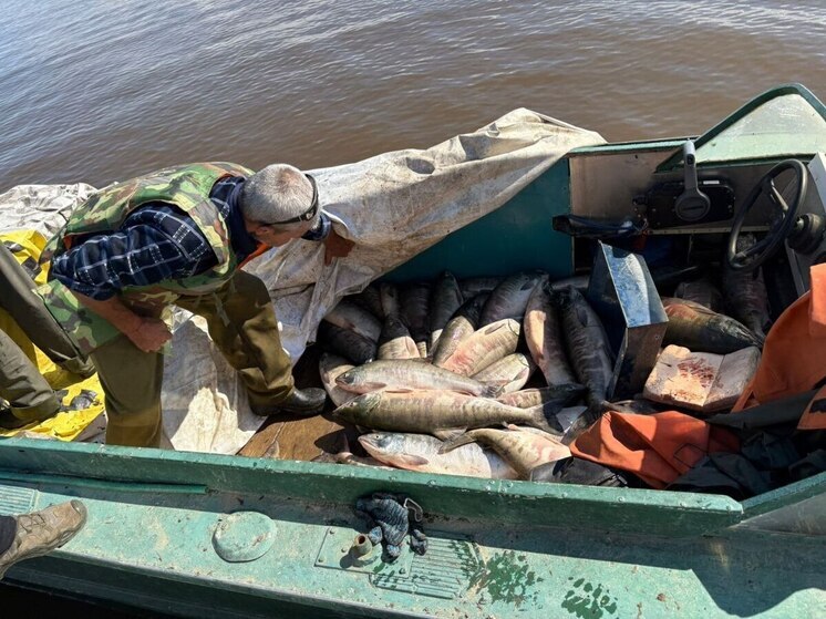 В Николаевском районе задержали браконьеров на Амуре