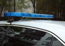 По словам полиции Новой Зеландии, обнаружение нового лагеря-стоянки свидетельствует о том, что у отца-беглеца Тома Филлипса, скрывавшегося со своими детьми, была "помощь извне"