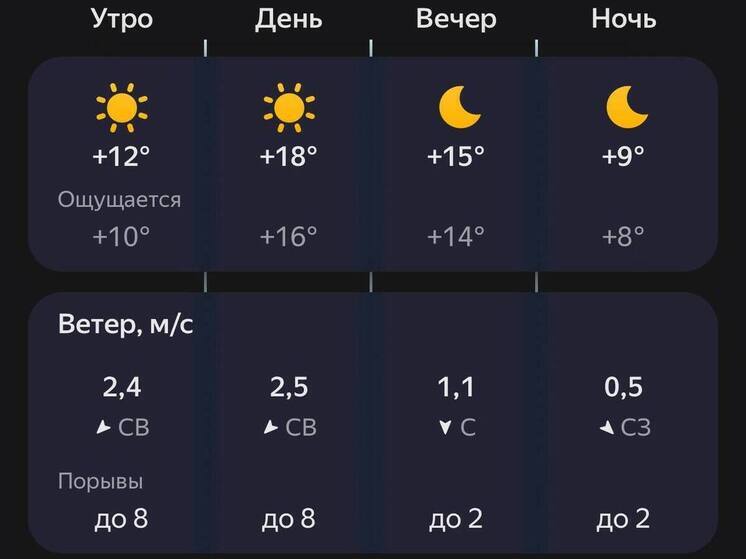 Пензенцев ожидает ясный день без осадков 10 сентября
