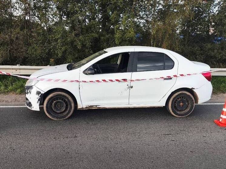 Велосипедист получил травму головы после наезда иномарки в Новгородском округе
