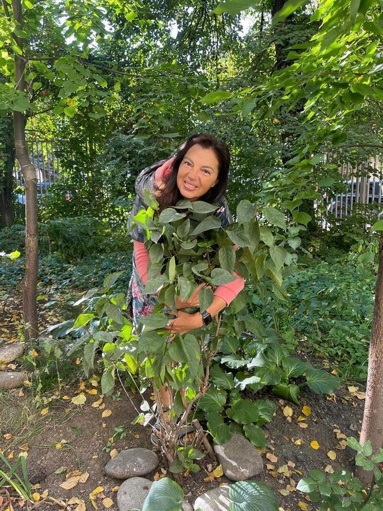 Модельер спасла увядающий куст сирени у Дома моды Зайцева