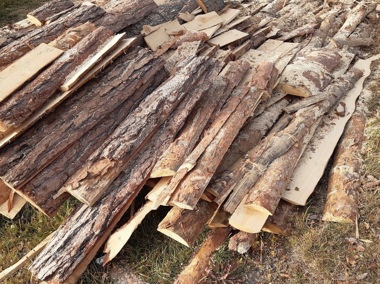 Свердловчанина обвиняют в контрабанде древесины на 6 млн рублей