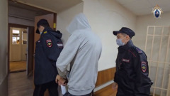 Неудачливого убийцу из Троицка взяли под арест. Видео