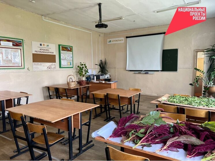 Агротехклассы для Бурятии: как школьники и минсельхоз решают кадровый вопрос села