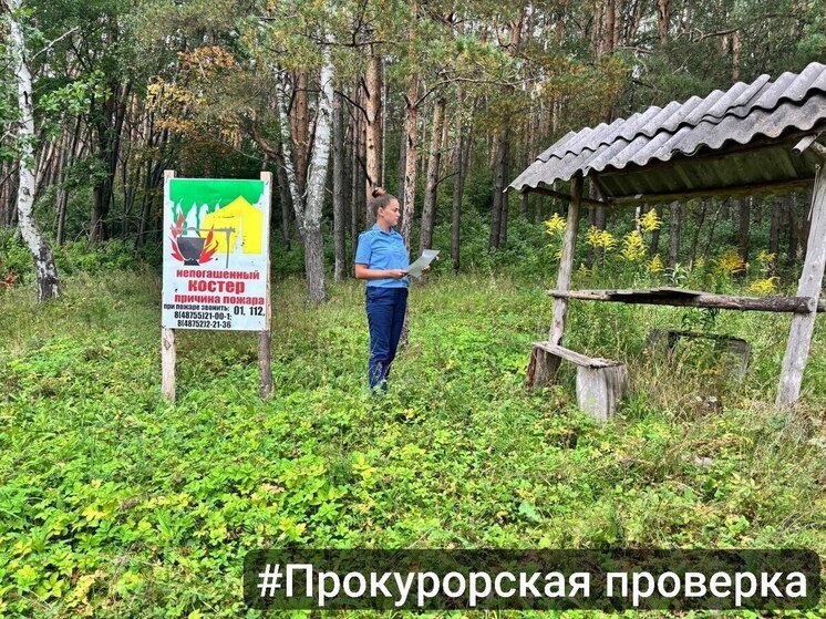 Прокуратура нашла нарушения в «Каменном холме» под Тулой и внесла представление