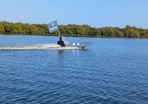 Жители деревни Взвад Старорусского муниципального района получили информационные материалы по выборам новым способом. Их доставил беспилотный катер на оптоволокне. Аппарат преодолел озеро Ильмень и реку Взвад. «Почта» таким способом заработала в России впервые.
