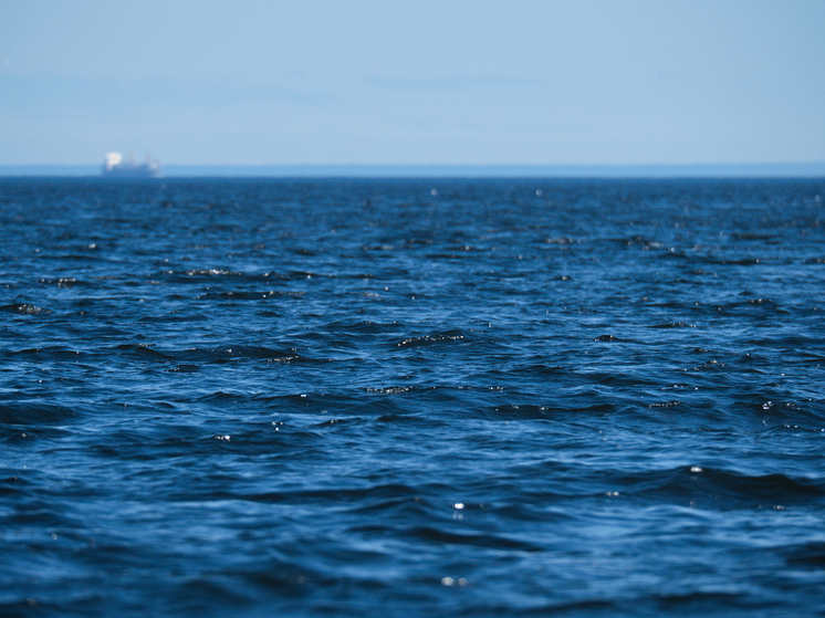 На дне Марианской впадины обнаружили опасный след цивилизации