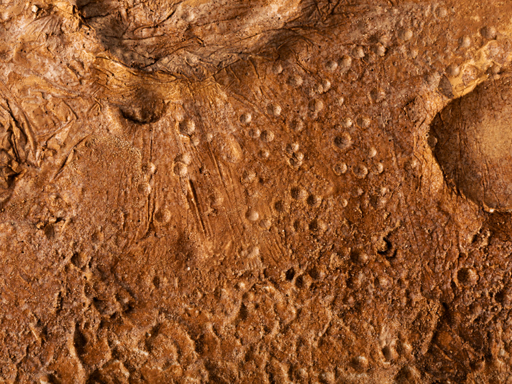 В Сибири появились гигантские кратеры: что это значит для людей и природы