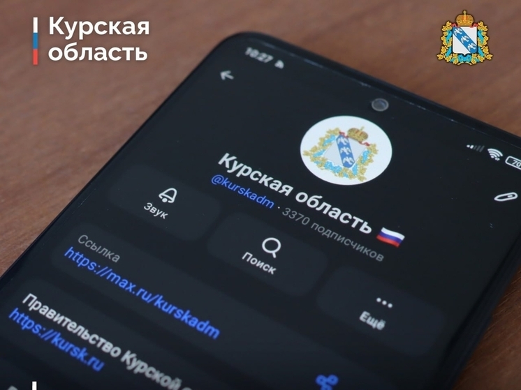 В Курской области запустили белый список сайтов на время ограничений интернета