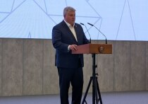 Новгородская область привлекает все больше инвестиций со стороны бизнеса и федерального центра, что обеспечит опережающие темпы развития. Действующий глава региона Александр Дронов демонстрирует преемственность политического курса Андрея Никитина.