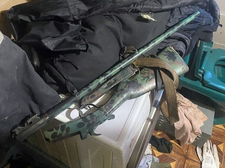В Ершовском районе житель задержан за хранение оружия и патронов
