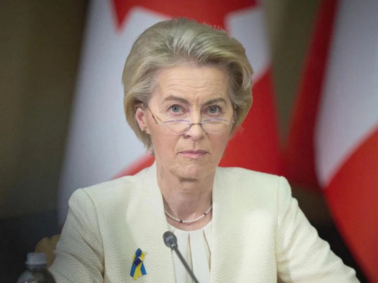 Боуз раскритиковал слова фон дер Ляйен о борьбе ЕС за определение своей судьбы