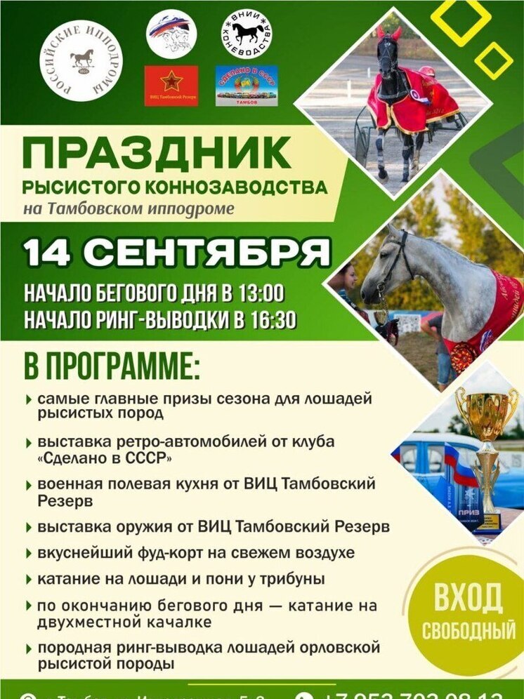 Тамбовчан приглашают на грандиозный турнир грациозных рысаков и азартные гонки на ипподроме