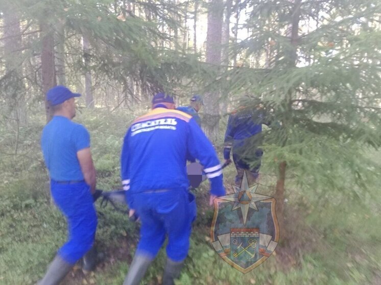 Лес у озера Круглое в Приозерске стал смертельной ловушкой для мужчины