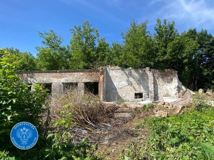 В 5 брянских сельских поселениях ограничат доступ к заброшенным зданиям