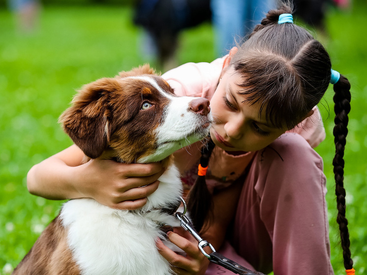 Научные исследования раскрыли механизмы удивительной связи между людьми и собаками