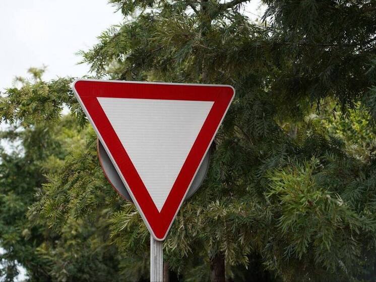 В Спас-Деменске заросли дорожные знаки