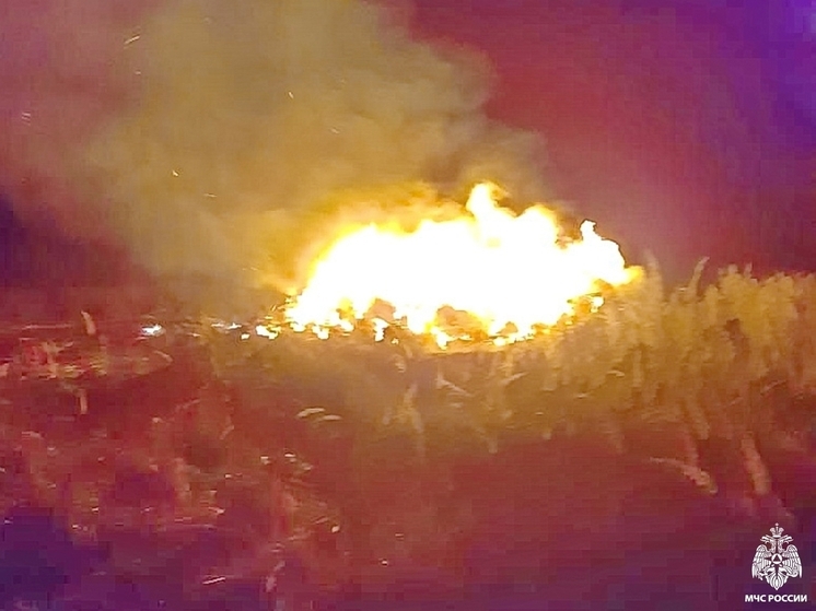 В Гагаринском районе сгорело 20 тонн сена